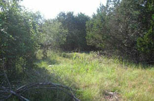 Sold property of sunny day real estate in austin texas.